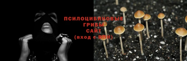 каннабис Баксан