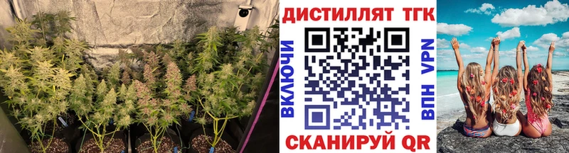 Дистиллят ТГК вейп  Зерноград 