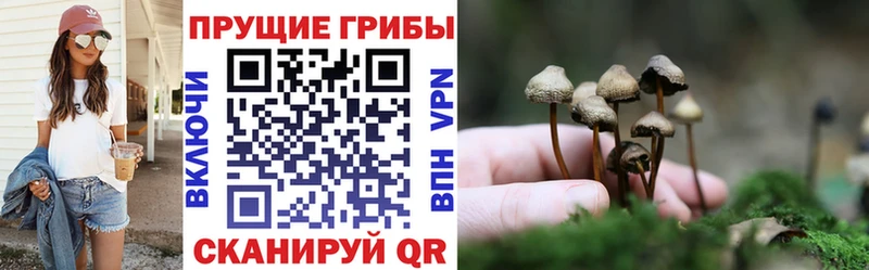 Галлюциногенные грибы MAGIC MUSHROOMS  Зерноград 
